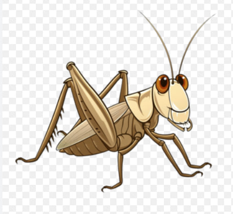 赌料临门的头像-高手联盟