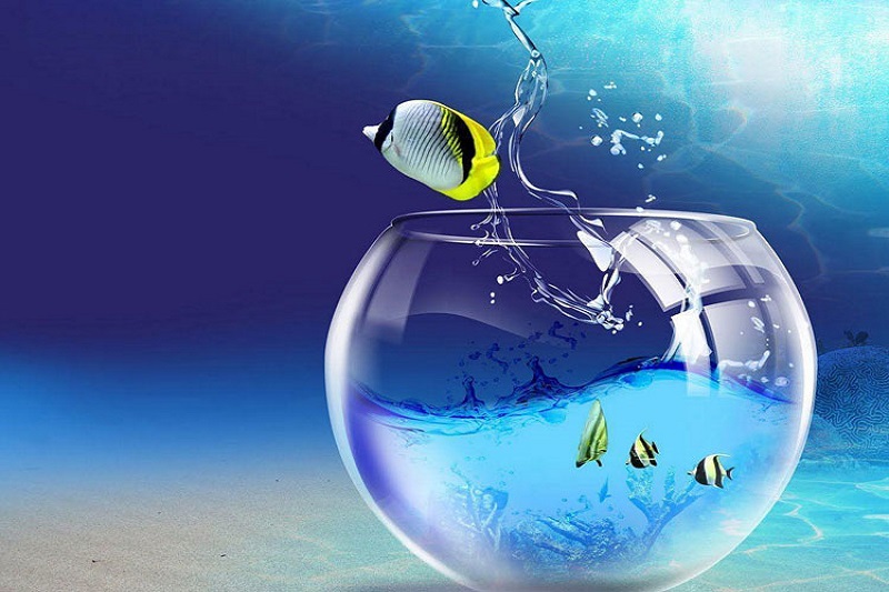 福运彩民的头像-高手联盟